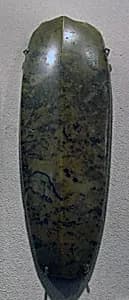 Ax with Ridge on Top by Unknown Artist