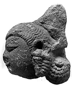 Head of a Female by Unknown Artist