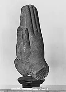 Hands by Unknown Artist