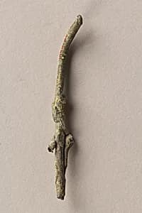Fragment of a Stem of a Flower by Unknown Artist