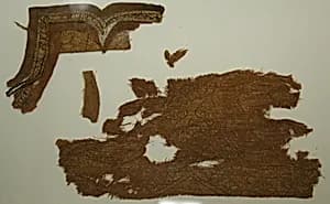 Cloth of Gold and Associated Border Fragments by Unknown Artist