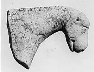 Head of a Horse by Unknown Artist