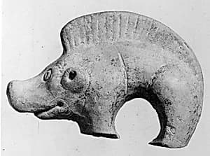 Pig by Unknown Artist