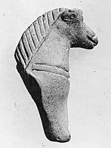 Fragment of a Horse by Unknown Artist