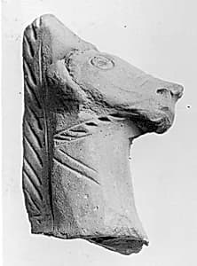 Head of a Horse by Unknown Artist