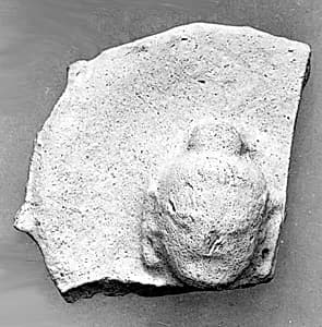 Fragment of a Relief by Unknown Artist