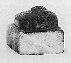 Seal by Unknown Artist