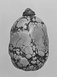 Snuff bottle with stopper by Unknown Artist