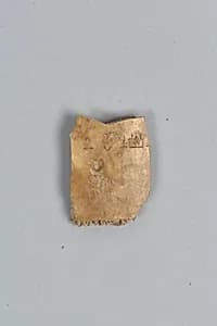 Oracle bone fragment by Unknown Artist