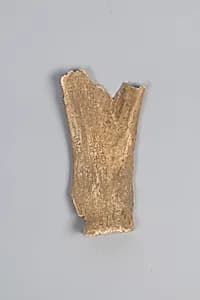 Oracle bone fragment by Unknown Artist