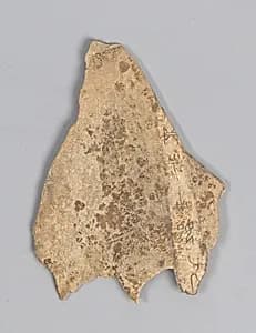 Oracle bone fragment by Unknown Artist