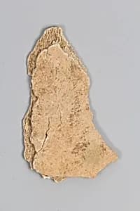 Oracle bone fragment by Unknown Artist