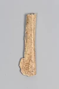 Oracle bone fragment by Unknown Artist