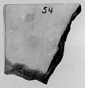 Fragment by Unknown Artist