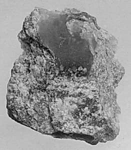 Fragment by Unknown Artist