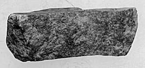 Fragment by Unknown Artist