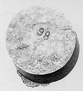 Fragment by Unknown Artist