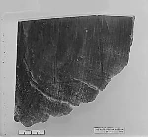 Fragment by Unknown Artist