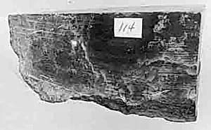 Fragment by Unknown Artist