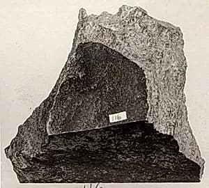 Fragment by Unknown Artist