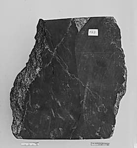 Fragment by Unknown Artist
