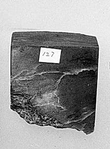 Fragment by Unknown Artist