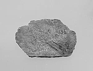 Fragment by Unknown Artist