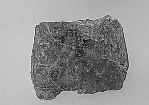 Fragment by Unknown Artist