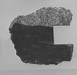 Fragment by Unknown Artist