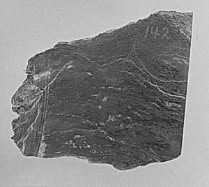 Fragment by Unknown Artist