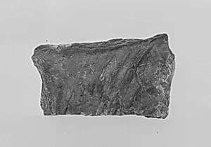 Fragment by Unknown Artist