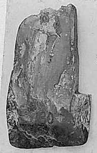 Hatchet by Unknown Artist