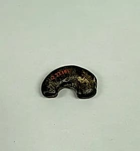Tiger Claw Jewel by Unknown Artist