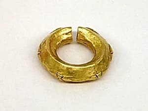 Circular Ear Ornament by Unknown Artist