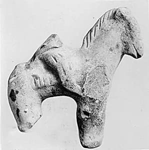 Fragment of a Horse by Unknown Artist