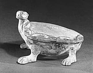 Tortoise by Unknown Artist