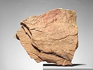 Section of a Rock Painting by Unknown Artist