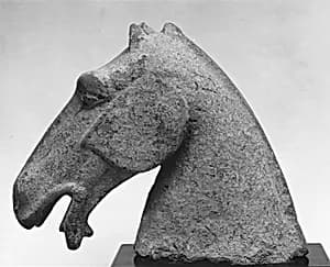 Model of Horse's Head by Unknown Artist