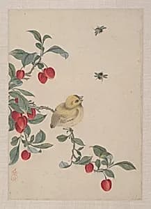 Birds, Insects and Flowers by Yi Zhai