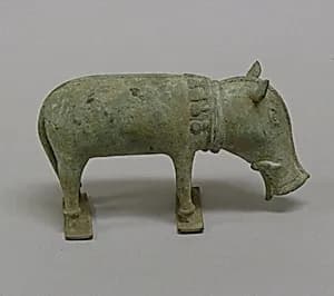 Pig by Unknown Artist