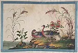 Album Containing Twelve Paintings of Birds by Unidentified artist