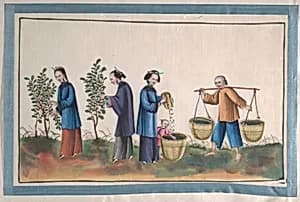 Album Containing Twelve Paintings of People Making Silk by Unidentified artist