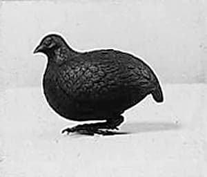 Incense Burner in Shape of Quail by Unknown Artist
