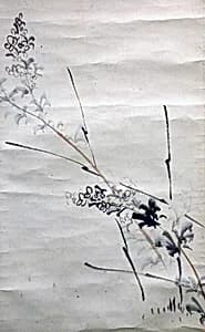 Deutzia Crenata by Ōtagaki Rengetsu