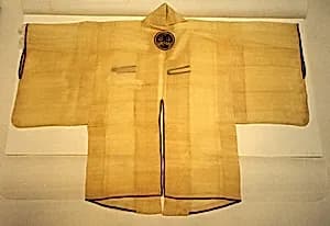 Fireman's jacket, plastron and sash by Unknown Artist