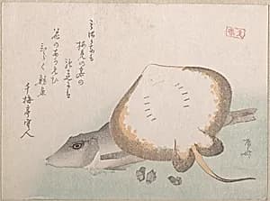 Stingray and Gurnard by Ryūryūkyo Shinsai