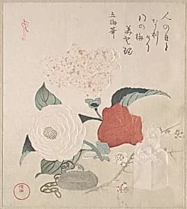 Camellia Flowers, a Netsuke and a Seal by Kubo Shunman