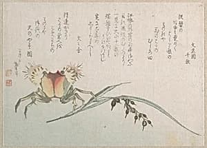 Crab and Rice Plant by Katsushika Hokusai