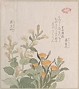 The Common Marigold and The Rajoman Flowers by Kubo Shunman