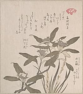 Daphne odora and Mojisuri-so by Kubo Shunman